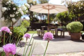 Napier House | Cabbage Tree Bungalow
