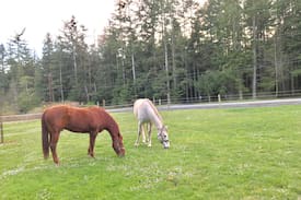 Anacortes Other | Rosario Ranch