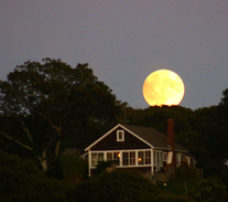 Menemsha House | Evelyn's House, Martha's Vineyard Classic