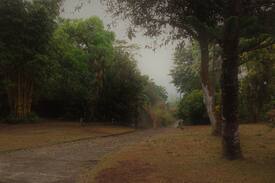 Puwakpitiya House | Avissawella Bungalow - The relaxed and peaceful