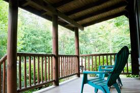 Saugatuck Cabin | Little Star Cabin - Luxury Log Cabin