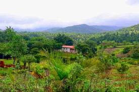 Ambavna Cabin | Stargazing Cottage in your private nature paradise