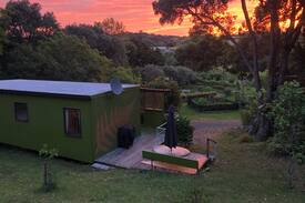 Waipu Cove Cabin | Glorious Tangle Cabin - Beach access to Waipu Cove