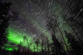 Fairbanks Apartment | Arctic Rose Airbnb ~ Home Away From Home~