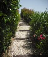 Molino Penna Bed & Breakfast | Casale Bramasole B&B - The Olive Room