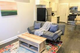 Heart of Chicago Apartment | GOATHOTE | NEW 1/1 APT | ARTSY PILSEN NEIGHBORHOOD