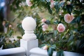 Albany Bed & Breakfast | Dunmoylen House B&B