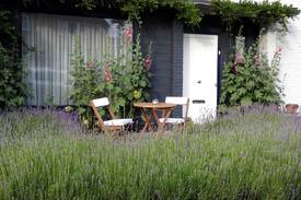Clinge House | 'Chez Germaine': rust en een goed ontbijt in Hulst