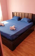 Ureki Hotel | ურეკი, სასტუმრო (პრიმა/Prima) დიდი მწვანე ეზოთი