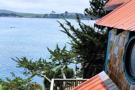 Bodega Bay House | Spring Lily Cottage - Views!