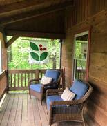 Deer Springs Cabin | The Bear Dance Cabin at Wintergreen Resort