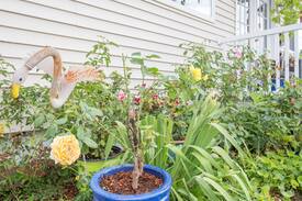 Old Orchard Beach Apartment | Bright Cheery Condo-Walk to Beach-$3900/ 30 days