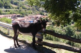 Salas Municipality House | Vive Asturias. Casa con Buhardilla de Ensueño