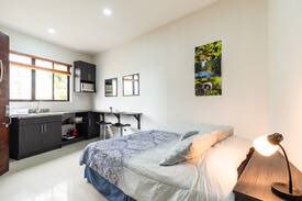 Yoses Apartment | New Studio #8 San Pedro Los Yoses