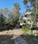 Silba House | Villa Suncica, FIRST ROW BY THE SEA-House/Silba