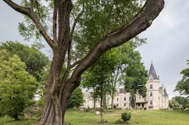 Burgkemnitz Other | Schloss in Muldestausee