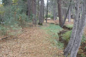 Shingletown Cabin | Mt Lassen, Viola Lodging Grace Lake Resort #1