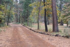Shingletown Cabin | Mt Lassen, Viola Lodging Grace Lake Resort #1