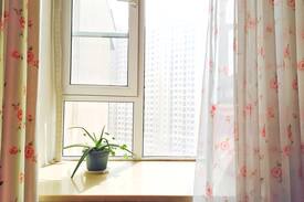 Wuchang Apartment | Cozy Apt.Downtown WUHAN武昌中心楚河汉街独立单间/东湖武大/省博/省图书馆