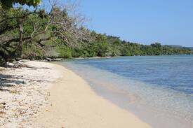 Efate House | CORAL SANDS BEACH BUNGALOWS - MANGO CABIN