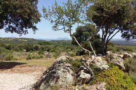 Telti House | In Sardegna tra le colline e il mare di Gallura