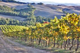 Volterra House | Podere Grignano, beautiful Tuscany