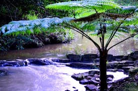 Zara Cabin | Waterfall Hideout RainforestRetreat