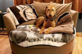Twisp Bed & Breakfast | Paws Awhile For Pets and Their People