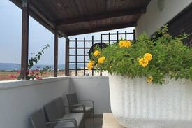 Capitolo House | Macchia di mare