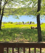 Tobyhanna Villa | LAKEFRONT CHALET on LAKE CAROBETH