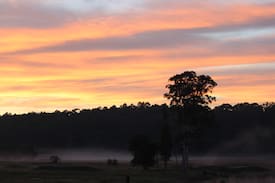 Dooralong Other | Mollies Farm - Farm stay in the Dooralong Valley