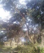 Chingola House | Farm number 83, Kamuchanga Chingola