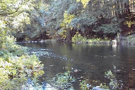 Catskill Cabin | Rustic Cabin on the Poetic Creek