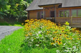 Bakersville Cabin | Cozy Cabin at Amber Ranches