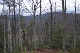 Tyro Cabin | Tyro Mountain View Cabin