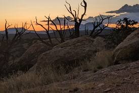 Catron County House | Turtle Rock Lodge, Datil, NM.
