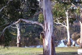 Ouse Other | Cluny Dun Lagoon