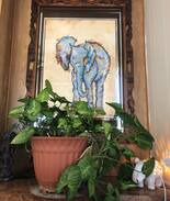 Elephant Butte House | The Luna Mae Fishing Retreat