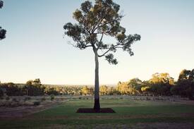 Yallingup Siding House | Yallingup Siding Secluded Luxury Accommodation