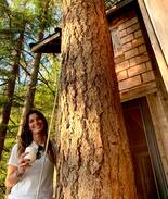 Vashon Island Other | Eagles’ Bluff Treehouse