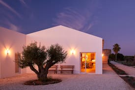 Monte Raposo House | Rufino Quinta - Casa Peacock