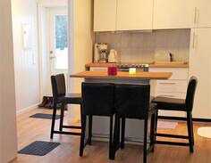 Lillehammer House | 2 bedrooms basement flat in Søre ål Lillehammer