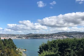 Dunedin House | Harbour view family home, Vauxhall