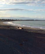 Te Awanga House | Reef Break Studio