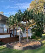 Hat Head House | Sandy bottoms - Hat Head Beach & Creek Escape