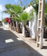 El Mansouria House | Cabanon PLAGE DAVID