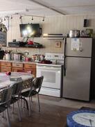 Renovo House | The Man Cave