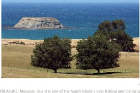 Omihi Cabin | Shearers Quarters - Motunau Beach Rd, Greta Valley