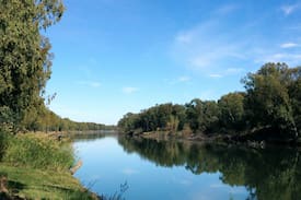 Tswelopele Other | Dundee Fishing Resort