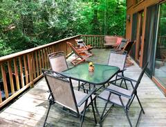 Franklin Villa | A Mountain Swiss Chalet in the Smokies Mountains!